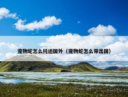 宠物蛇怎么托运国外（宠物蛇怎么带出国）