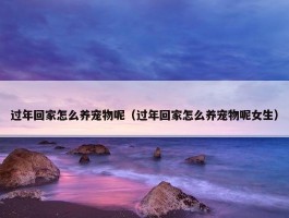 过年回家怎么养宠物呢（过年回家怎么养宠物呢女生）