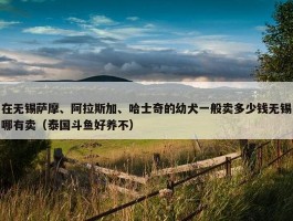 在无锡萨摩、阿拉斯加、哈士奇的幼犬一般卖多少钱无锡哪有卖（泰国斗鱼好养不）