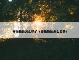 宠物物流怎么运的（宠物物流怎么收费）