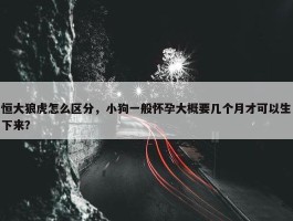 恒大狼虎怎么区分，小狗一般怀孕大概要几个月才可以生下来？