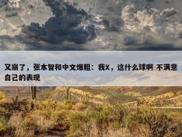 又崩了，张本智和中文爆粗：我X，这什么球啊 不满意自己的表现