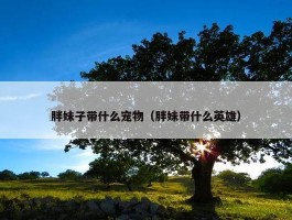 胖妹子带什么宠物（胖妹带什么英雄）