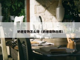 奶爸宠物怎么得（奶爸宠物选择）