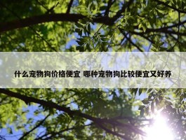 什么宠物狗价格便宜 哪种宠物狗比较便宜又好养