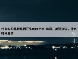 什么狗的品种是西开头的四个字-请问，美短公猫，什么时候发情