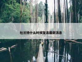 杜兰特什么时候复出最新消息