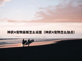 神武4宠物面板怎么设置（神武4宠物怎么加点）