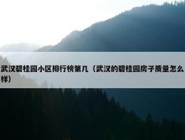 武汉碧桂园小区排行榜第几（武汉的碧桂园房子质量怎么样）