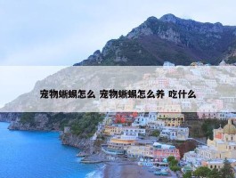 宠物蜥蜴怎么 宠物蜥蜴怎么养 吃什么