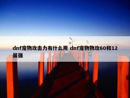 dnf宠物攻击力有什么用 dnf宠物物攻60和12属强