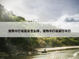 宠物不打疫苗会怎么样，宠物不打疫苗行不行