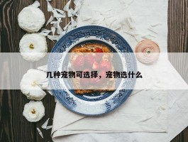 几种宠物可选择，宠物选什么