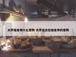 大学宿舍带什么宠物 大学适合在宿舍养的宠物