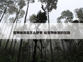 宠物输液袋怎么使用 给宠物输液的仪器