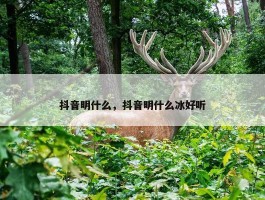 抖音明什么，抖音明什么冰好听