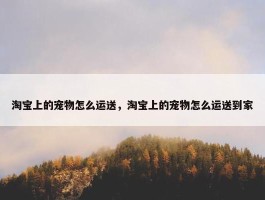 淘宝上的宠物怎么运送，淘宝上的宠物怎么运送到家