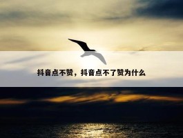 抖音点不赞，抖音点不了赞为什么