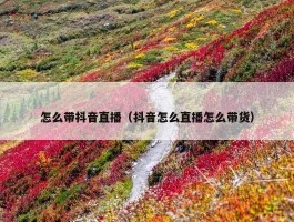 怎么带抖音直播（抖音怎么直播怎么带货）