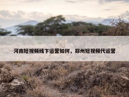 河南短视频线下运营如何，郑州短视频代运营