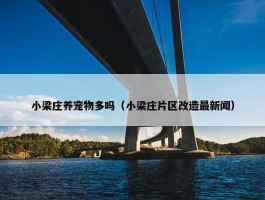 小梁庄养宠物多吗（小梁庄片区改造最新闻）