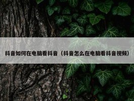 抖音如何在电脑看抖音（抖音怎么在电脑看抖音视频）