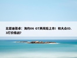 比亚迪张卓：海豹06 GT两周后上市！和大众ID.3打价格战？