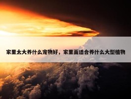 家里太大养什么宠物好，家里面适合养什么大型植物