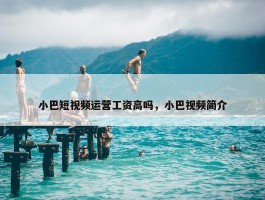 小巴短视频运营工资高吗，小巴视频简介