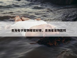 青海电子宠物哪家好用，青海省宠物医院