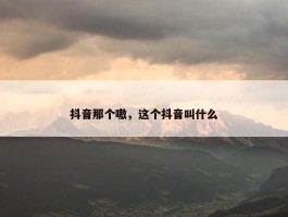 抖音那个嗷，这个抖音叫什么