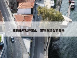 宠物兔可以养家么，宠物兔适合家养吗