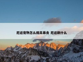 厄运宠物怎么提高暴击 厄运刷什么