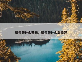 暗帝带什么宠物，暗帝带什么武器好