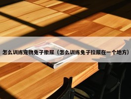 怎么训练宠物兔子撒尿（怎么训练兔子拉尿在一个地方）