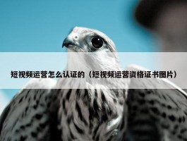 短视频运营怎么认证的（短视频运营资格证书图片）