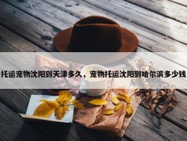 托运宠物沈阳到天津多久，宠物托运沈阳到哈尔滨多少钱