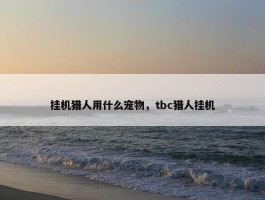 挂机猎人用什么宠物，tbc猎人挂机