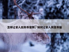 怎样让家人放弃养宠物，如何让家人同意养猫