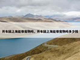 开车回上海能带宠物吗，开车回上海能带宠物吗多少钱