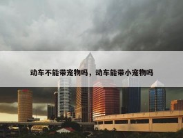 动车不能带宠物吗，动车能带小宠物吗