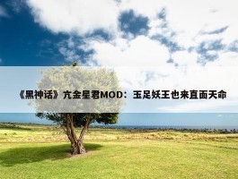 《黑神话》亢金星君MOD：玉足妖王也来直面天命