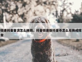 极速抖音音浪怎么换钱，抖音极速版抖音币怎么兑换成现金