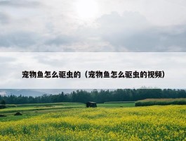 宠物鱼怎么驱虫的（宠物鱼怎么驱虫的视频）