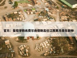 官方：葡萄牙教练费尔南德斯出任江西黑马青年新帅