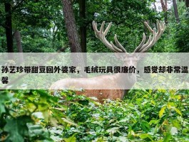 孙艺珍带甜豆回外婆家，毛绒玩具很廉价，感觉却非常温馨