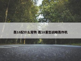 轰18配什么宠物 轰18重型战略轰炸机