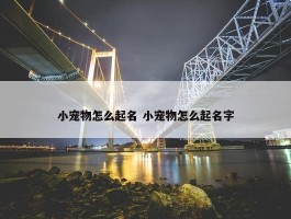 小宠物怎么起名 小宠物怎么起名字