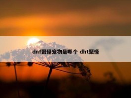 dnf聚怪宠物是哪个 dht聚怪