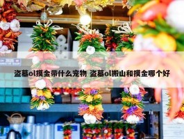 盗墓ol摸金带什么宠物 盗墓ol搬山和摸金哪个好